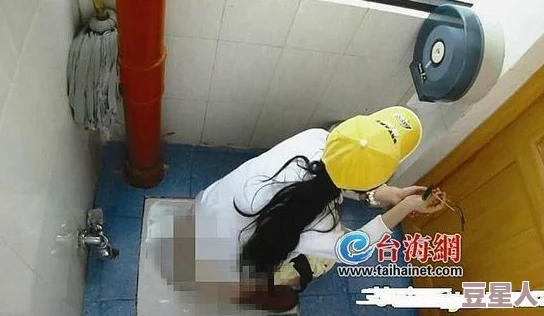 久久女厕一次看个够：探访各地女厕新变化，揭示女性如厕体验的多样性与挑战