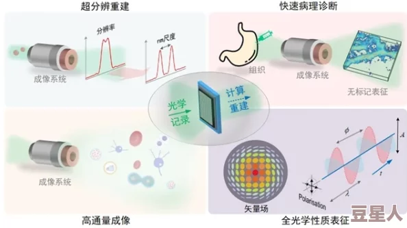 fi11四叶草实验室：基于深度学习的多模态数据融合与分析研究进展及其应用前景探讨