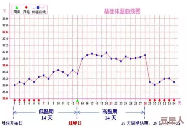 体温play1v1h：探讨人体正常体温的变化及其对健康的影响与调节机制