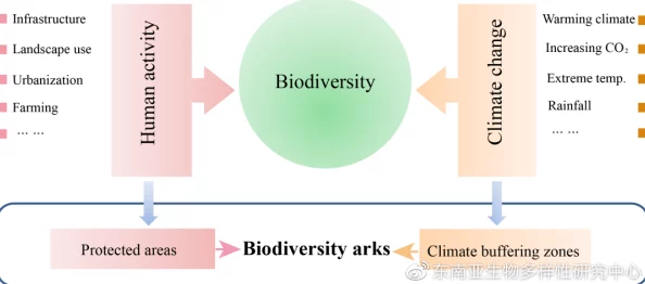 大BBBBB多毛又多水，最新研究揭示其生态环境变化对生物多样性的深远影响与未来发展趋势