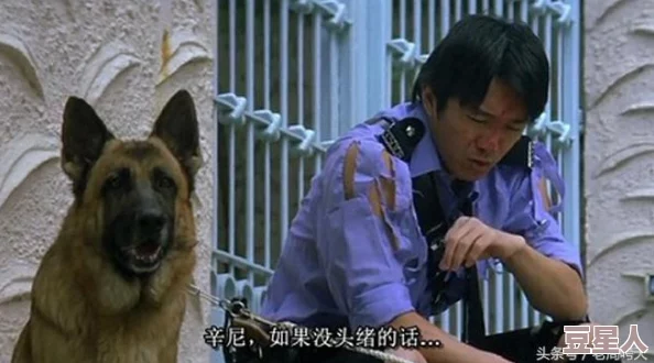 张警犬9分10秒头撞玻璃，勇敢表现引发网友热议，感动无数人心！