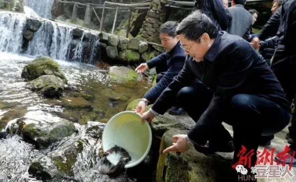 白虎现身城市公园，惊动市民引发热议，专家称或为生态恢复的积极信号！