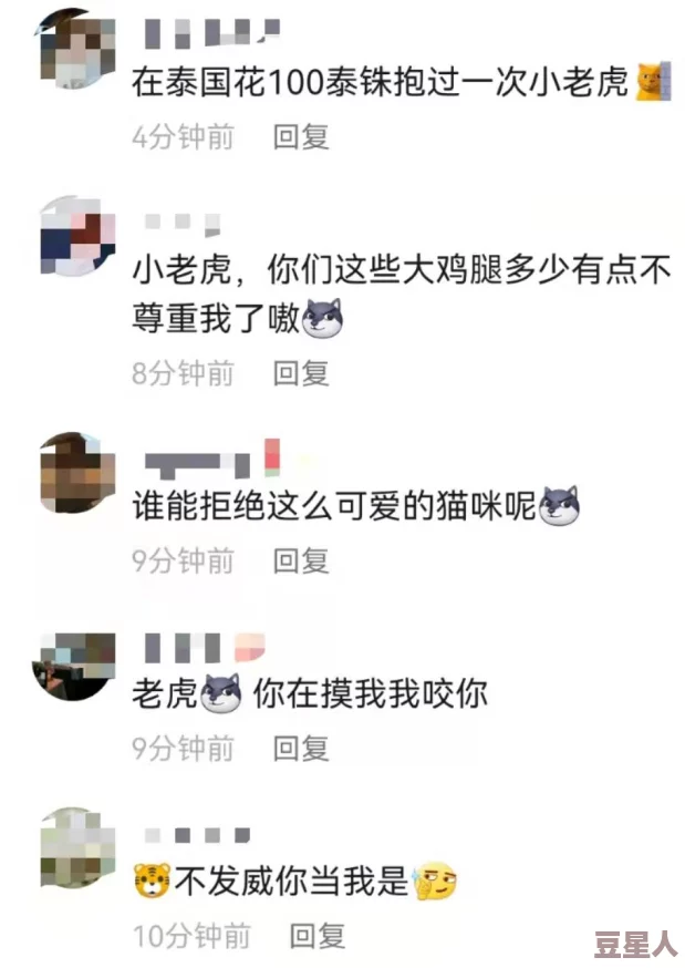 阴免费看：全球首个免费阴影体验项目正式启动，吸引数万游客争相参与！