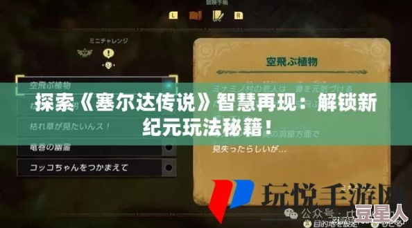 《塞尔达传说智慧的再现》全新攻略：高效获取珍稀丝质睡衣方法及隐藏彩蛋揭秘