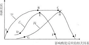 性别与自由的交织：阿拉伯地区凸轮管文化的社会影响与变迁研究