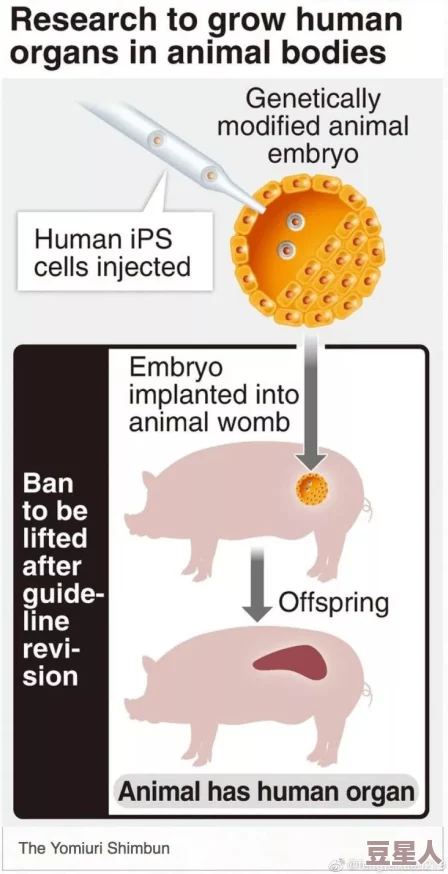 ＊大胆生殖：科学家成功培育出人类与动物基因混合的胚胎，引发伦理争议和社会关注！