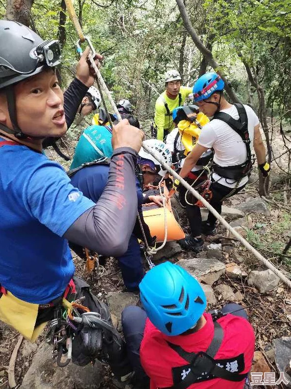 4虎.tv换哪个网名了？震惊！网友们纷纷猜测背后原因，真相竟让人意想不到！