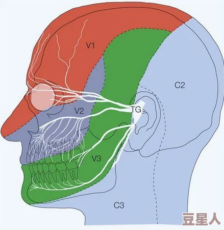 女性在巅峰时期抽搐的原因：科学家发现惊人真相，或与生活方式和心理压力密切相关！