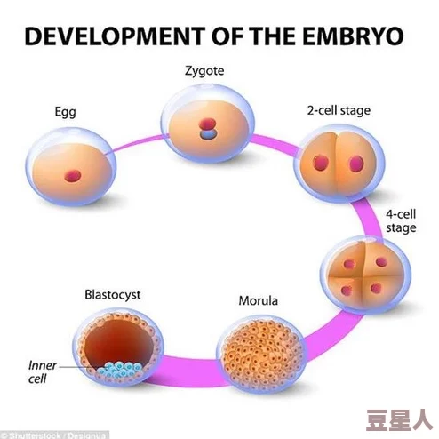 生殖特写magnetTV：震撼揭露人类生育背后的秘密，科学家发现新方法提升生育率！