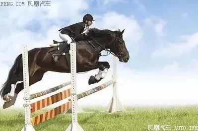 忘羡骑马做的微博：在阳光下驰骋，感受自由与快乐，分享我们的骑行故事和美好瞬间！
