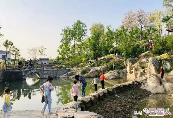 鲤鱼乡太大了好爽，近日吸引了众多游客前来观光，体验乡村生活与自然风光，活动丰富多彩