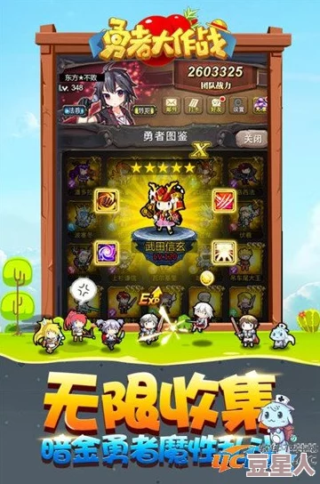 勇者大冒险游戏遇bug导致金币丢失，玩家应如何有效应对与解决？
