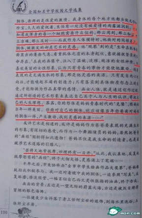 三级小说视频引发热议，网友纷纷表达看法，有人认为内容低俗，也有人觉得是文化的一种表现形式