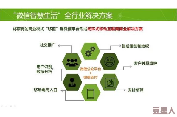 存活的方法是挨cnp免费阅读：如何在逆境中找到生存的智慧与策略，提升生活质量和心理韧性