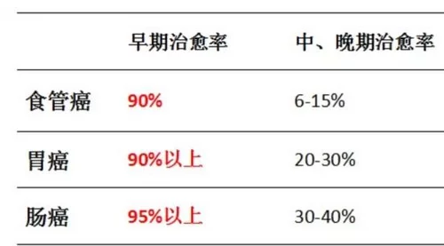 体内精69XXXXXx白浆：研究发现其对生理功能的影响及潜在应用前景分析