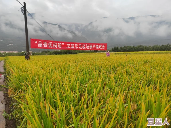 免费看国产一级片：最新政策动态与行业发展趋势分析，探讨如何合法获取优质内容的途径与方法