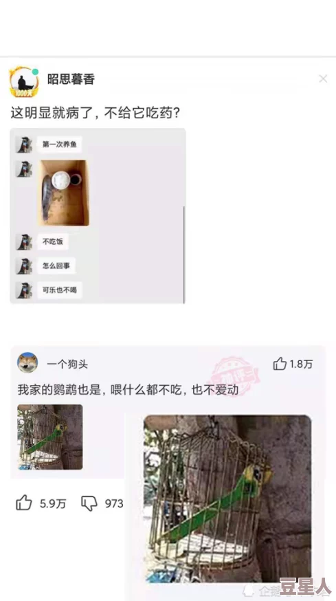 男人下面桶女人视频免费，内容引发热议，网友们纷纷发表看法，讨论其影响