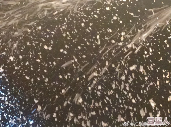 小雪好湿用力啊进来轻点惊爆内幕曝光她的秘密竟然让人震惊不已网友纷纷围观评论热烈