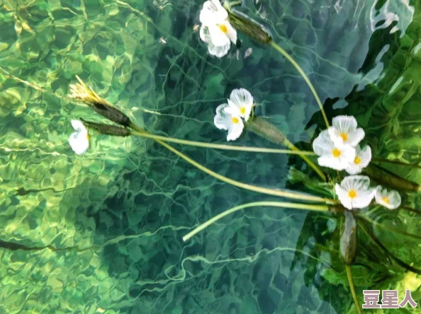 猛烈撞击灌满白浊花液，激发植物生长潜能，促进自然界的繁荣与和谐