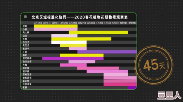 超级地城之光：深度解析，哪个职业好玩又强力，最强职业排行榜揭晓