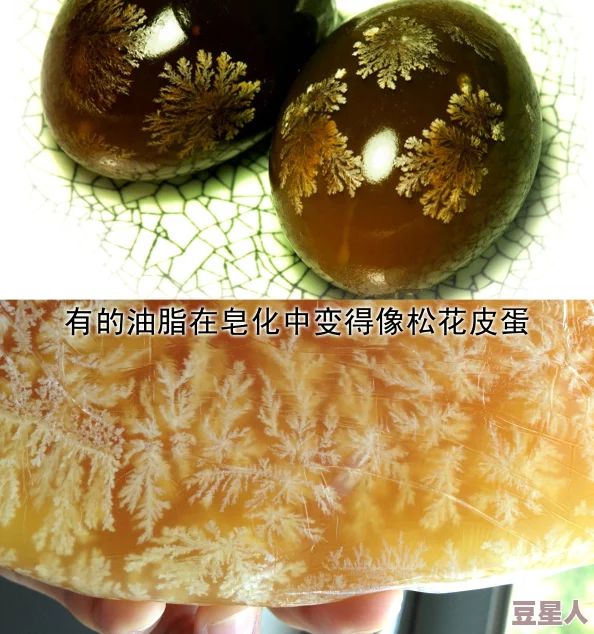 废土危行生存技巧：揭秘浆果汤合成秘籍，专家提醒勿直接食用以免风险