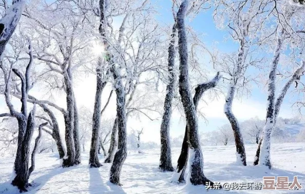 免费高清在线观看人数在哪动漫视频下载&驰骋雪域加速致胜