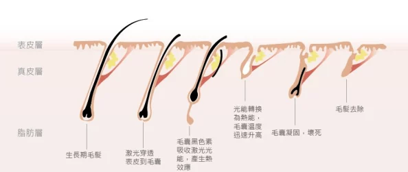 成品网站crm短视频：画面唯美，值得一观的经典之作