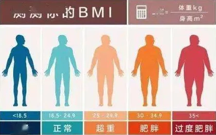 大肥波BBWWHBBWW肥波持续增重中本周食量略有下降但体重依然保持稳定增长