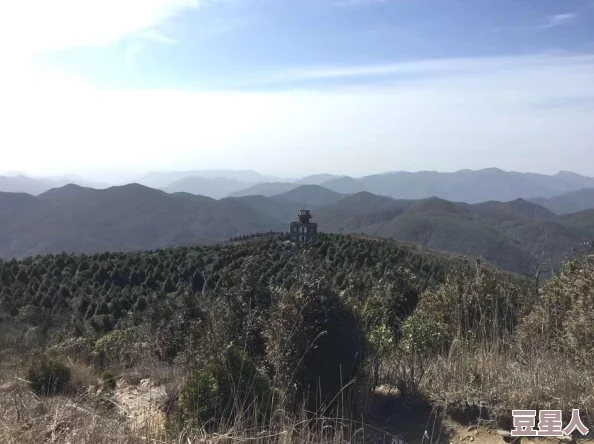 乡野春风免费阅读全集下载养蜂人让我们珍惜自然，保护生态，共同创造美好未来