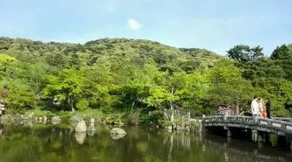 芦苇荡福林初尝云雨情后传小说完整版已泄露资源共享