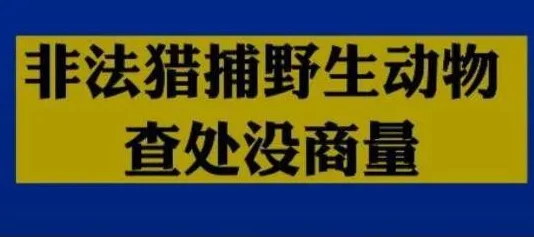 毛片在线看www.传播非法有害内容，破坏网络环境，请勿访问