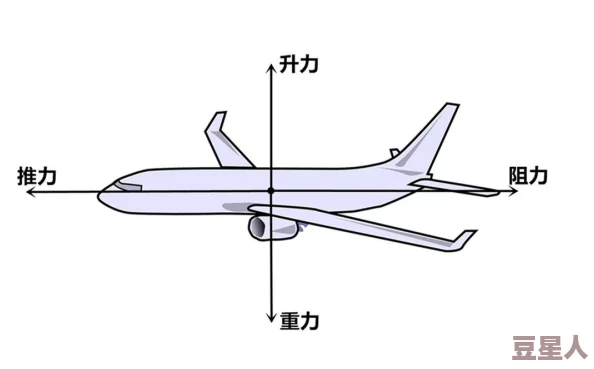 飞机飞行原理升力阻力推力重力协同作用实现空中飞行