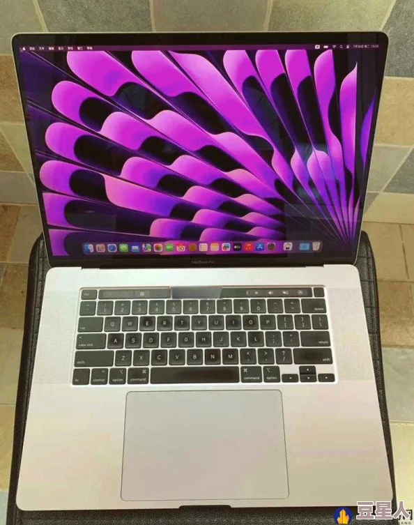 19岁macbookpro欧美女孩的旧电脑焕新记升级系统提升性能