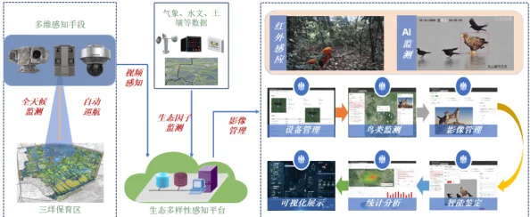 采蜜1V1人工智能辅助生物多样性研究守护生态平衡