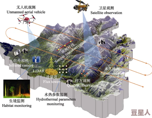 采蜜1V1人工智能辅助生物多样性研究守护生态平衡