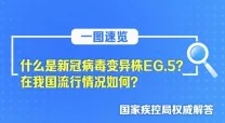 精品视频一区二区在线播放2025全新4K修复版震撼来袭