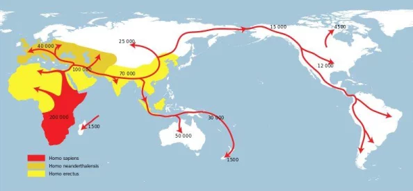 文明6普通版与典藏版对比分析，哪款更值得入手？