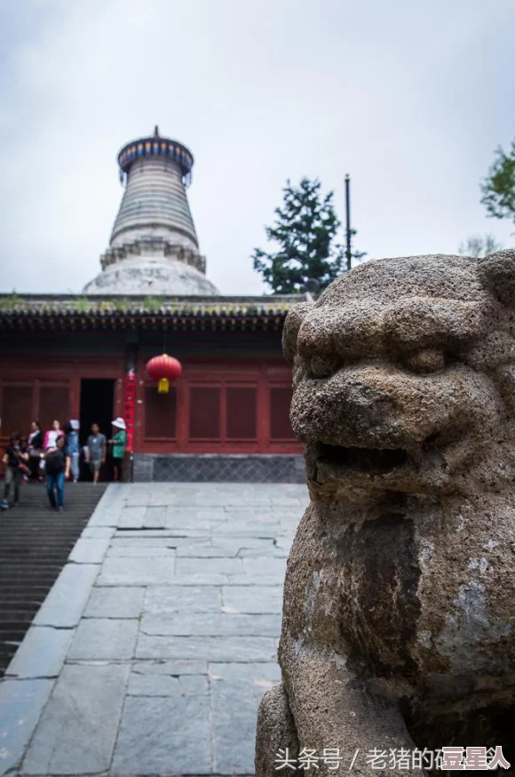 圣境之塔休闲玩法全解析 圣境之塔多样玩法详解