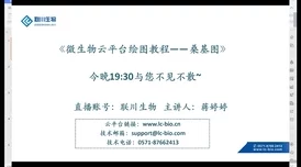 大侠立志传：深度解析顾清扬入队流程及方法